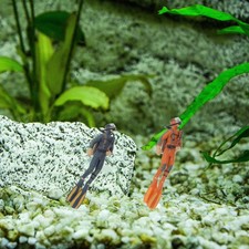 2 Pcs Mini Diver Figurines Plastic Aquarium Layout Prop Floating Fish Tank