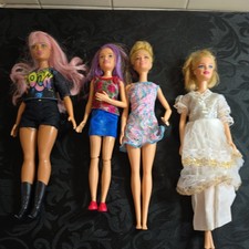 Barbie Doll Bundle (Dw90)