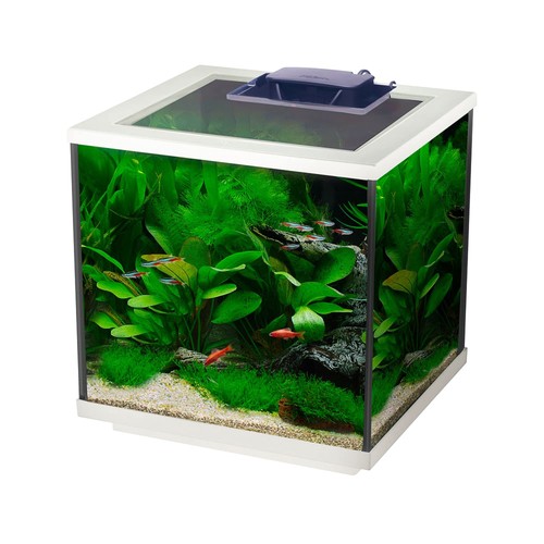 Aqua cube glass fish tank - cube,