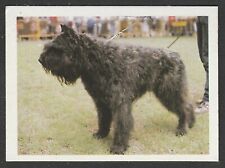 Dogs - Spanish Trade Trading card circa 1985 #66 Bouvier des Flandres