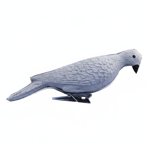 Realistic dove decoy - dove,