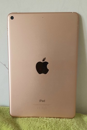 Apple ipad mini 64gb - apple,
