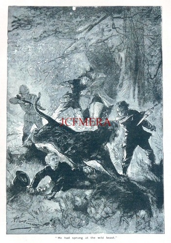 Boys own paper - 'fight, a