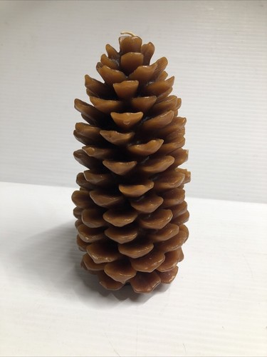 Candle giant sugar pine cone - candle,