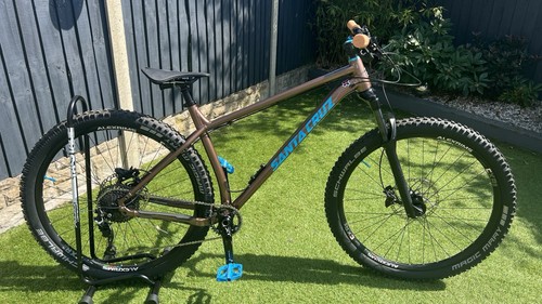 Santa cruz chameleon - cruz,
