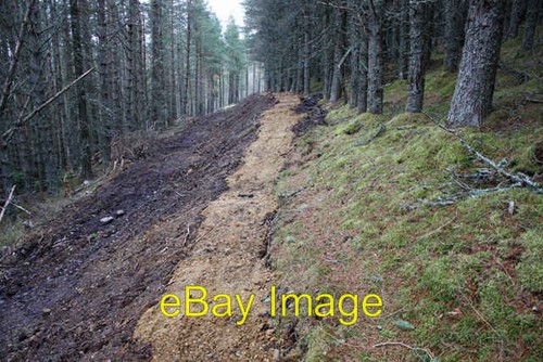 Photo 6x4 mountain bike trail - photo,