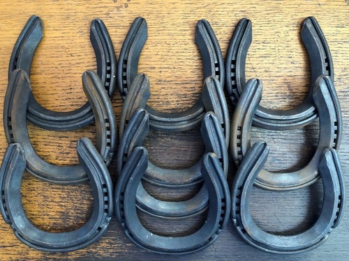 New real horseshoes clean same - new,