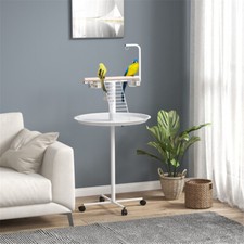 Bird Stand Table with A Perch