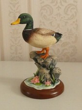 BORDER FINE ARTS MALLARD DUCK