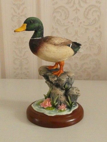 Border fine arts mallard duck - border,