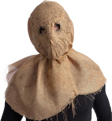 Adult halloween fancy - adult, dress
