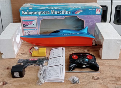 Retro balaenoptera musculus - retro,
