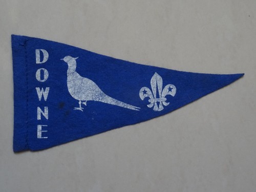 Downe camp site scout - downe, site}