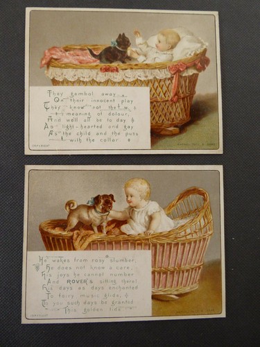 Two baby cradle with - with, cat