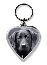Dog Keyrings - Heart Shape Pug Chihuahua Spaniel Bulldog Westie Staffy Choose