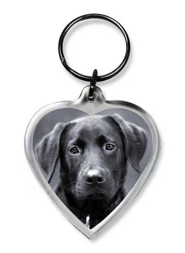 Dog keyrings heart shape - dog,