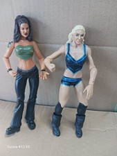 WWF Jakks Scenes Titan Tron