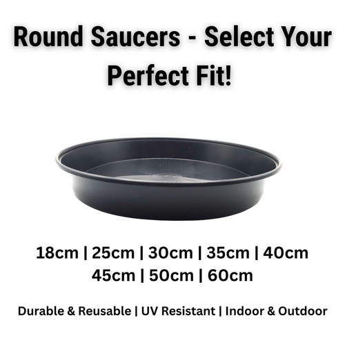 Plant pot saucers black - pot,