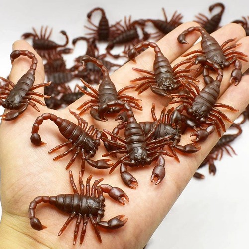 Halloween fake insects creepy - fake,