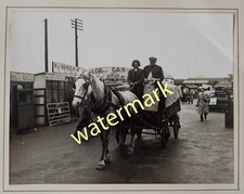 Horse & cart at cattle market, Kent, c1940s - Old Photo