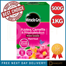 MIRACLE GRO ERICACEOUS PLANT