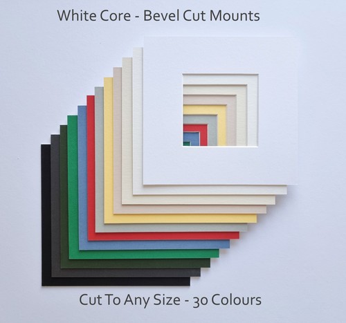 Picture mount custom cut - picture,