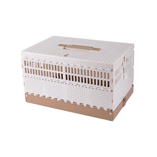 Pigeon cage bird travel - bird,