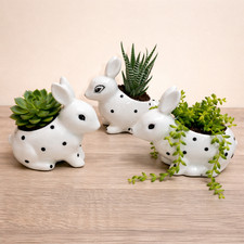 Ceramic White Rabbit Succulent