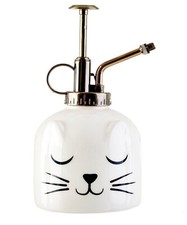 Cat Plant Mister Sass Belle