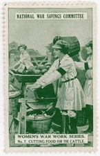 (I.B) Cinderella : National