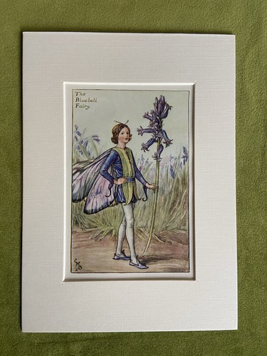Bluebell flower fairy - ‘bluebell’,
