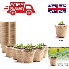 96 Pack Biodegradable Seedling