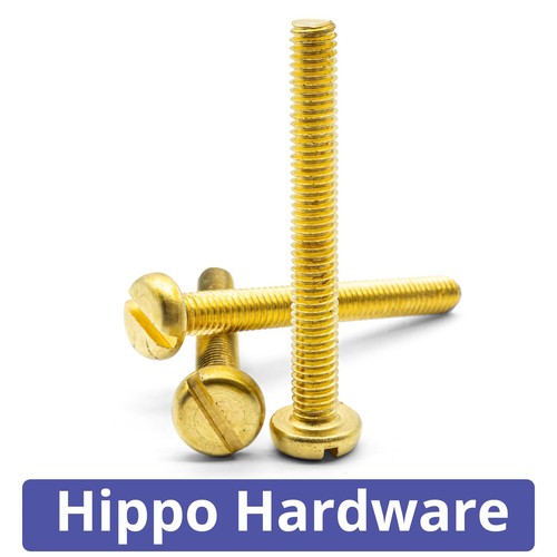 Solid brass slotted pan head - slotted,