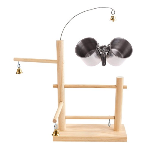 Bird playground parrot - bird,