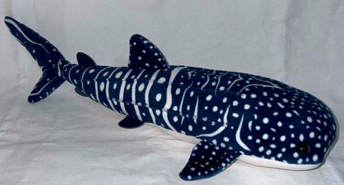 Douglas decker whale - douglas, shark