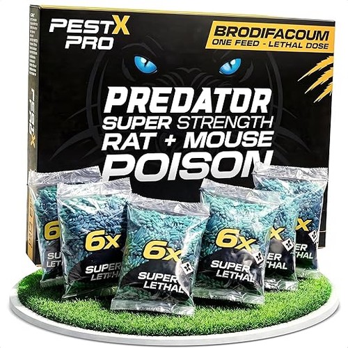 Pest pro predator - pro, rat