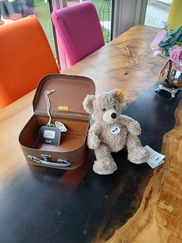 Steiff ean 111730 - fynn, teddy