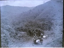 Antique Glass Negative