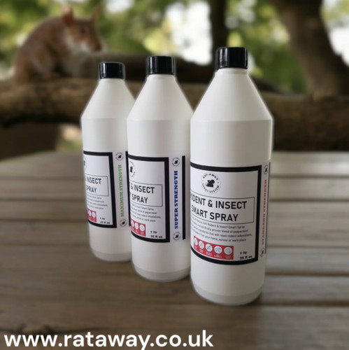 Rat away peppermint - peppermint, rodent