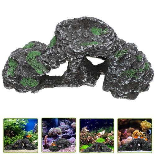 Aquatic turtle basking - aquatic,