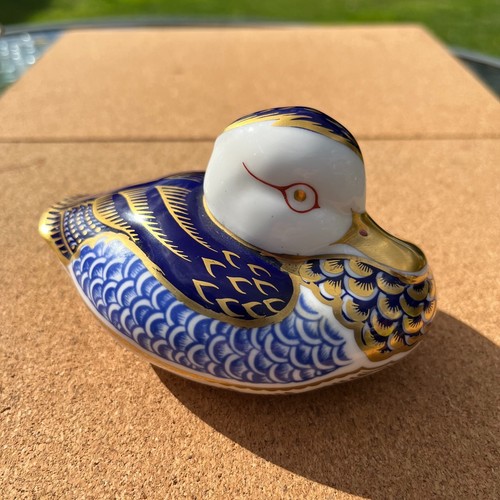 Royal crown derby - derby, duck