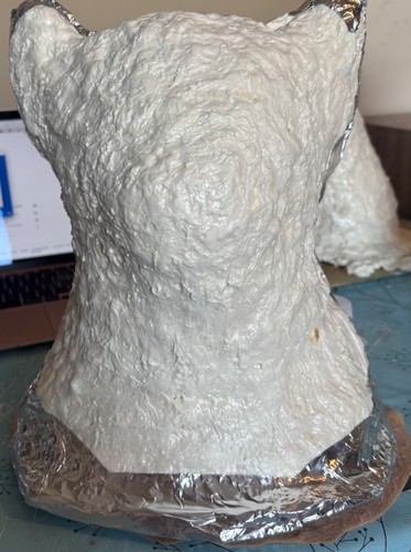 Foam support shell use - foam,