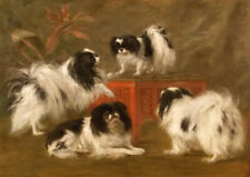 JAPANESE CHIN CHARMING DOG GREETINGS NOTE CARD BEAUTIFUL GROUP OF FOUR DOGS