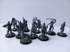 Adeptus Arbites Exaction Squad
