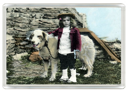 Pyrenean mountain dog - pyrenean,