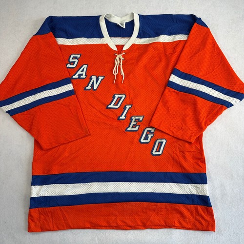 Ais san diego - gulls, ice