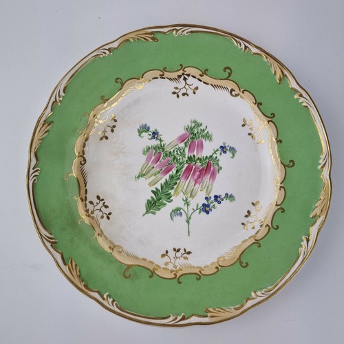 Antique 19th century - antique, wedgwood