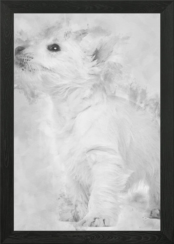 West highland terrier - highland,
