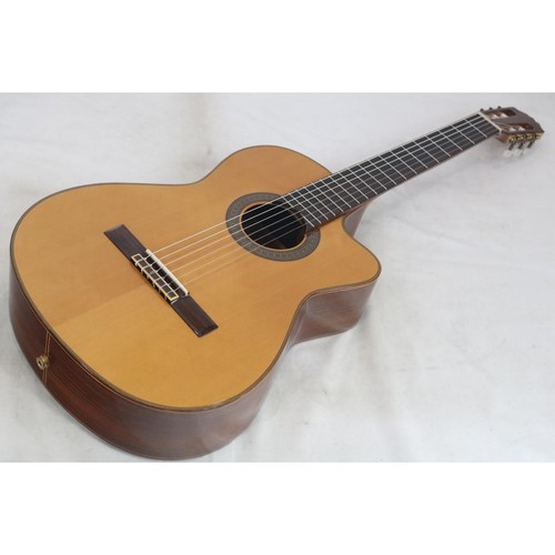 Aria ce acoustic - aria, ac-50-ce