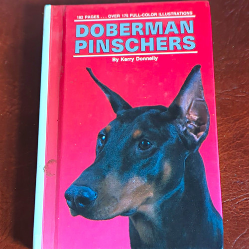 Doberman pinschers pet - doberman, care